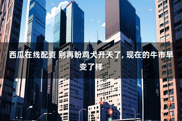 西瓜在线配资 别再盼鸡犬升天了, 现在的牛市早变了样
