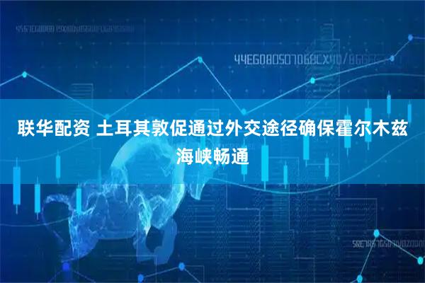 联华配资 土耳其敦促通过外交途径确保霍尔木兹海峡畅通